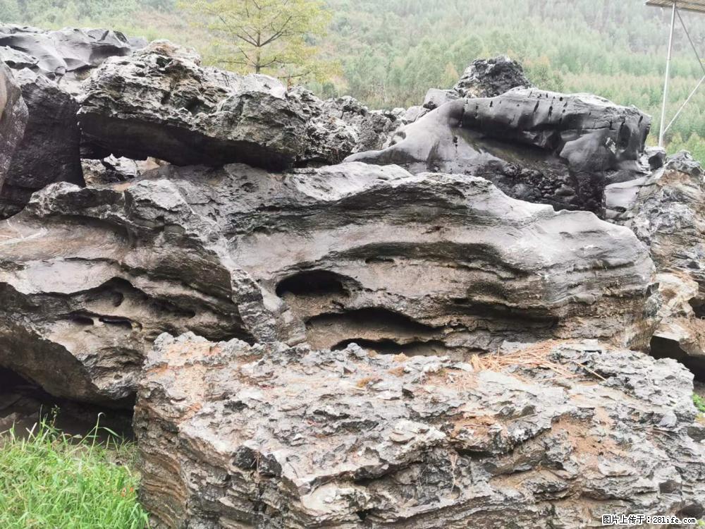 风景石、假山石大量有货，有需要的欢迎联系 - 新手上路 - 神农架生活社区 - 神农架28生活网 snj.28life.net