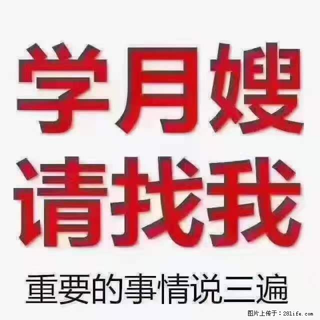 为什么要学习月嫂，育婴师？ - 新手上路 - 神农架生活社区 - 神农架28生活网 snj.28life.net
