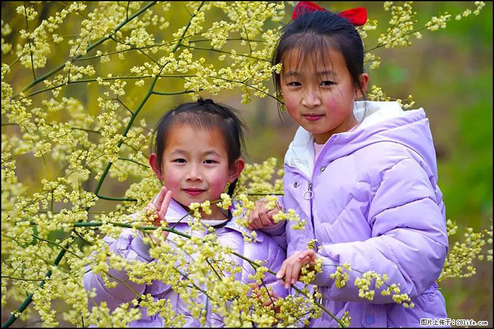 【春天，广西桂林灌阳县向您发出邀请！】米珠山前有片山苍子花在飘香 - 游山玩水 - 神农架生活社区 - 神农架28生活网 snj.28life.net