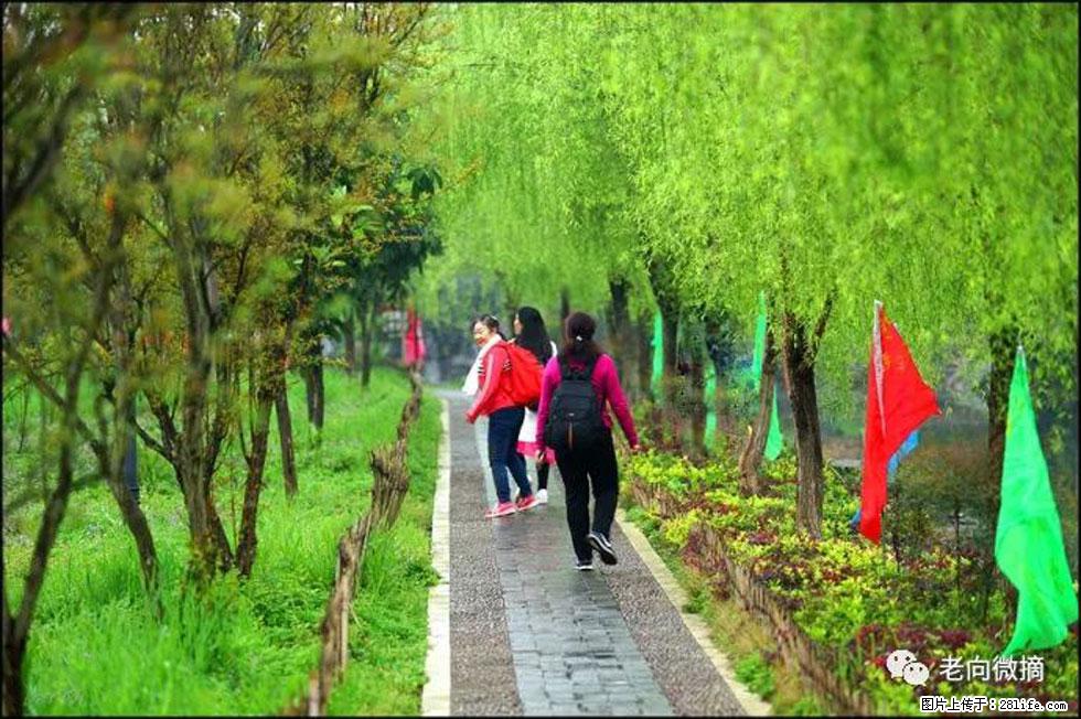 【春天，广西桂林灌阳县向您发出邀请！】江口老街又逢春 - 游山玩水 - 神农架生活社区 - 神农架28生活网 snj.28life.net