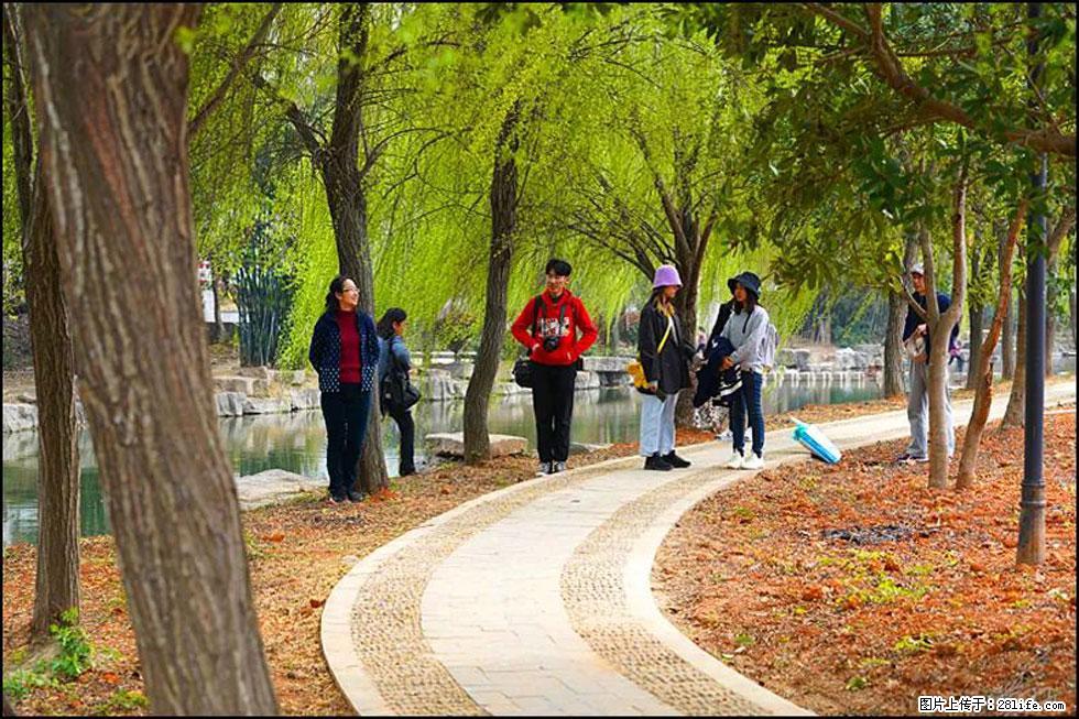 【春天，广西桂林灌阳县向您发出邀请！】江口老街又逢春 - 游山玩水 - 神农架生活社区 - 神农架28生活网 snj.28life.net