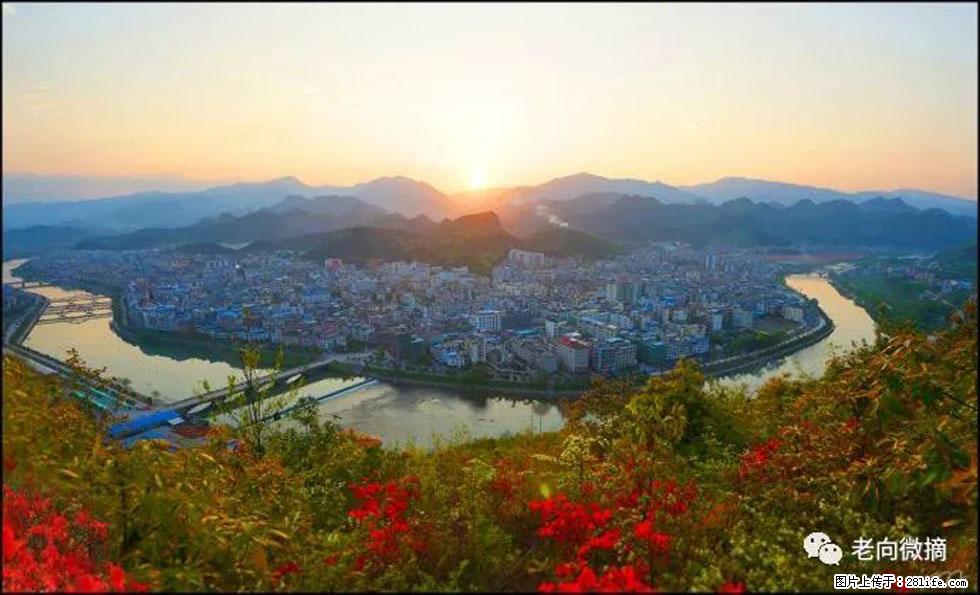 【春天，广西桂林灌阳县向您发出邀请！】登麒麟山，相约映山红 - 游山玩水 - 神农架生活社区 - 神农架28生活网 snj.28life.net