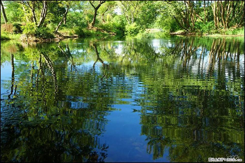 【春天，广西桂林灌阳县向您发出邀请！】熊家寨湿地公园 - 游山玩水 - 神农架生活社区 - 神农架28生活网 snj.28life.net