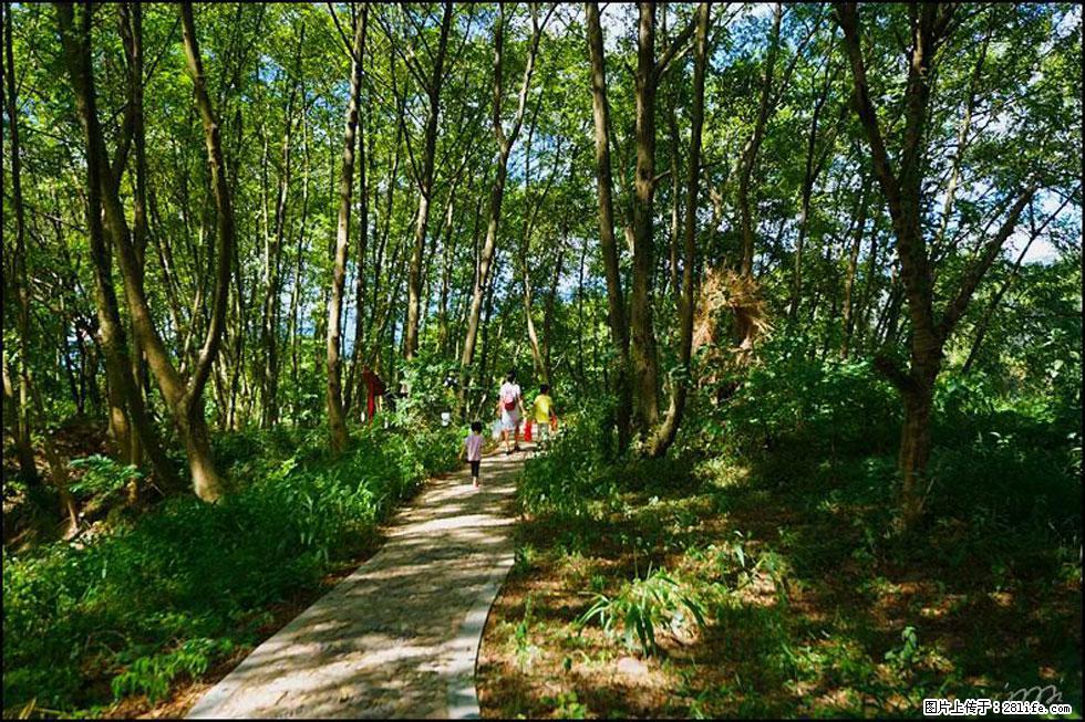 【春天，广西桂林灌阳县向您发出邀请！】熊家寨湿地公园 - 游山玩水 - 神农架生活社区 - 神农架28生活网 snj.28life.net