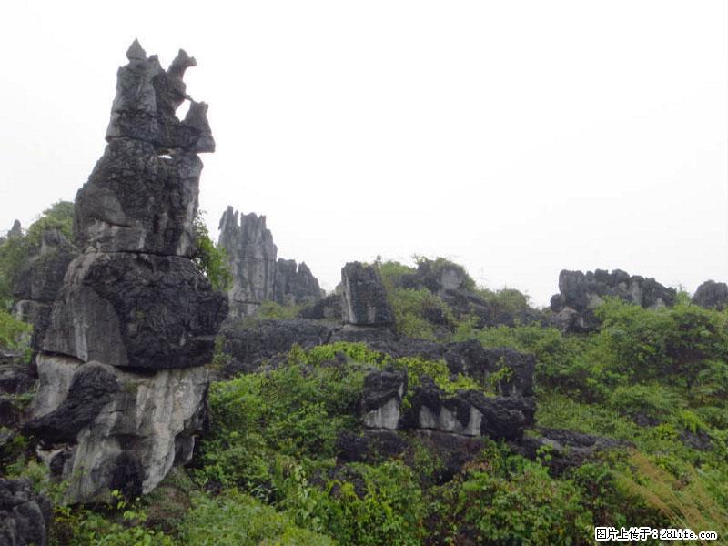 桂林旅游名城景点：灌阳文市石林 - 游山玩水 - 神农架生活社区 - 神农架28生活网 snj.28life.net