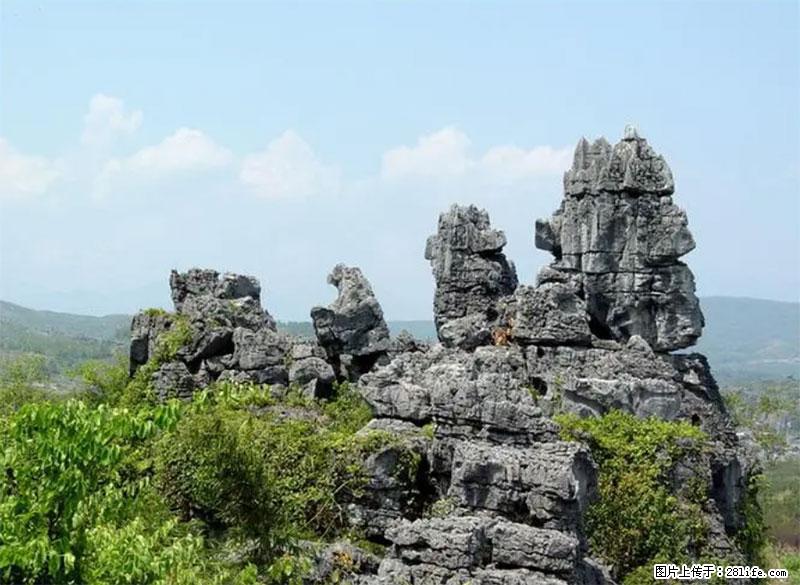 桂林旅游名城景点：灌阳文市石林 - 游山玩水 - 神农架生活社区 - 神农架28生活网 snj.28life.net