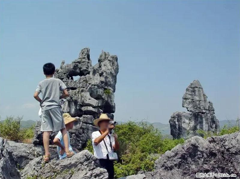 桂林旅游名城景点：灌阳文市石林 - 游山玩水 - 神农架生活社区 - 神农架28生活网 snj.28life.net