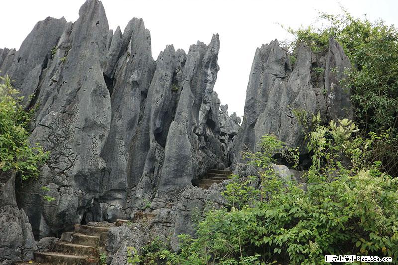 桂林旅游名城景点：灌阳文市石林 - 游山玩水 - 神农架生活社区 - 神农架28生活网 snj.28life.net