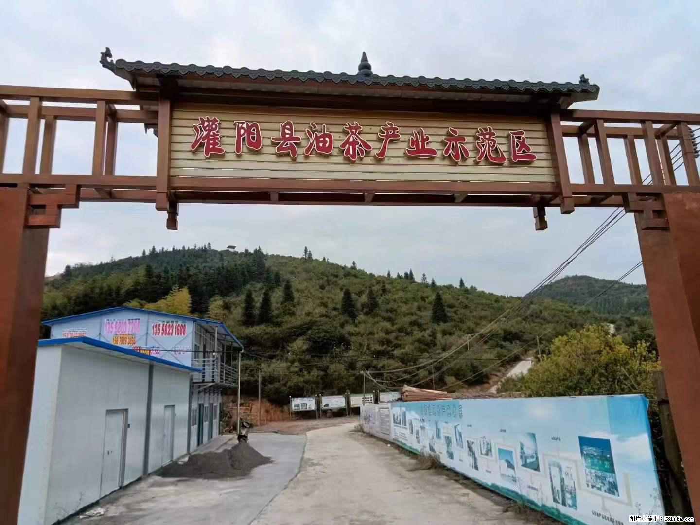 【灌阳县油茶产业示范区】一个有着充实的精神生活的人，对待身外之物自会有一种淡泊的态度 - 土特产 - 饮食特产 - 神农架分类信息 - 神农架28生活网 snj.28life.net
