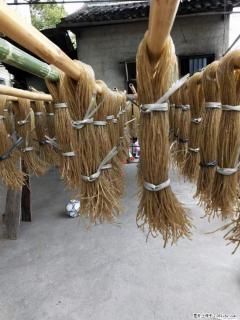 【灌阳正宗红薯粉】美女家里自己做的，干净卫生，假一赔十，价格合理，抢购电话：13737312895 - 神农架28生活网 snj.28life.net
