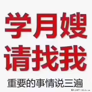 为什么要学习月嫂，育婴师？ - 神农架28生活网 snj.28life.net