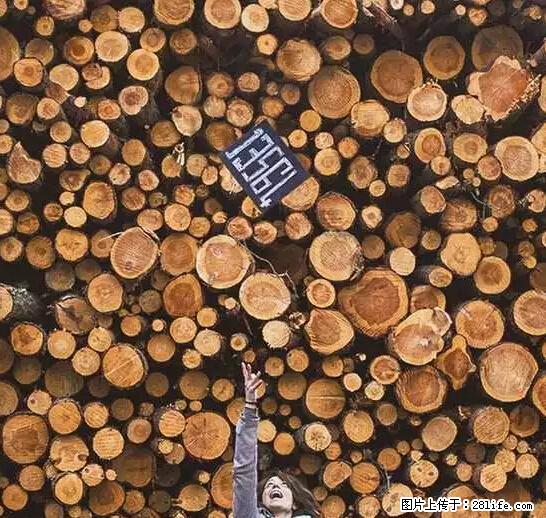 辞掉工作周游世界？现在他们在洗厕所…… - 游山玩水 - 神农架生活社区 - 神农架28生活网 snj.28life.net