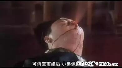 笑癫了！一女的怀孕三年未生，他终于忍不住了... - 娱乐八卦 - 神农架生活社区 - 神农架28生活网 snj.28life.net