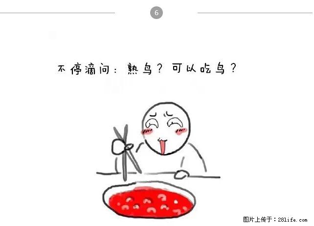 千万不要和这9种哈卵一起吃火锅！ - 美食天地 - 神农架生活社区 - 神农架28生活网 snj.28life.net