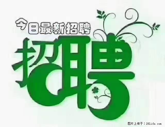 【招聘】产康师 - 职场交流 - 神农架生活社区 - 神农架28生活网 snj.28life.net