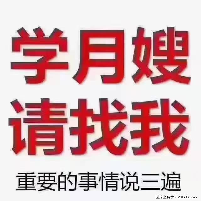 【招聘】月嫂,上海徐汇区 - 职场交流 - 神农架生活社区 - 神农架28生活网 snj.28life.net