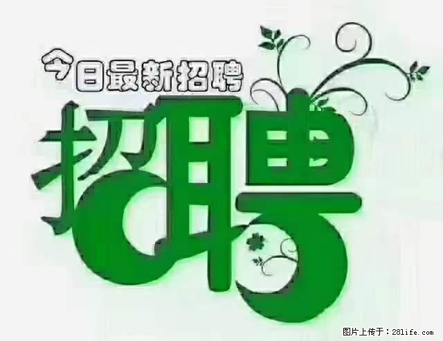 上海隔离酒店招人：55岁以下 男女不限 - 职场交流 - 神农架生活社区 - 神农架28生活网 snj.28life.net