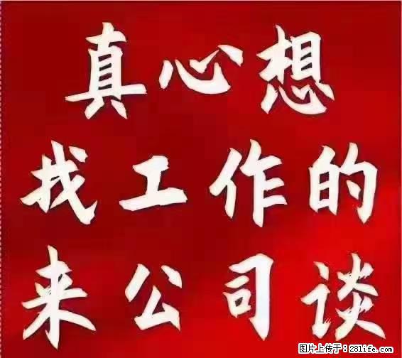 【上海】国企，医院招两名男保安，55岁以下，身高1.7米以上，无犯罪记录不良嗜好 - 职场交流 - 神农架生活社区 - 神农架28生活网 snj.28life.net