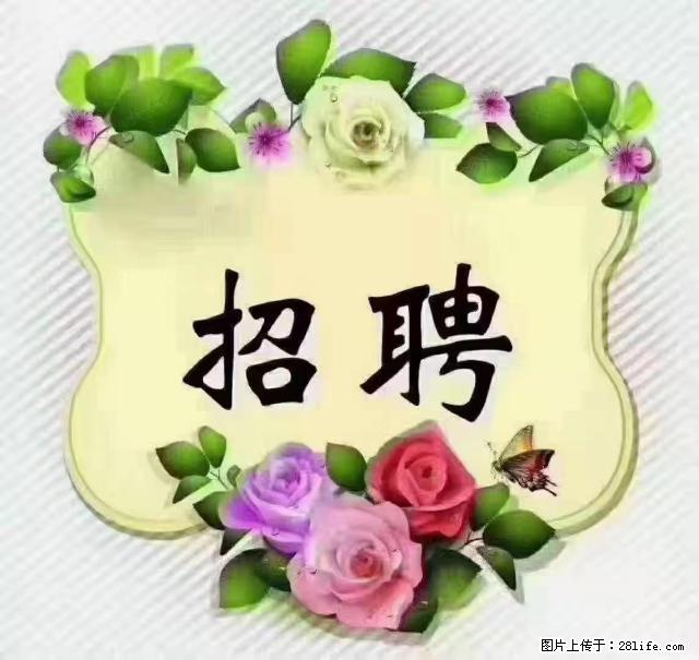 【招聘】住家育儿嫂，上户日期：4月4日，工作地址：上海 黄浦区 - 职场交流 - 神农架生活社区 - 神农架28生活网 snj.28life.net