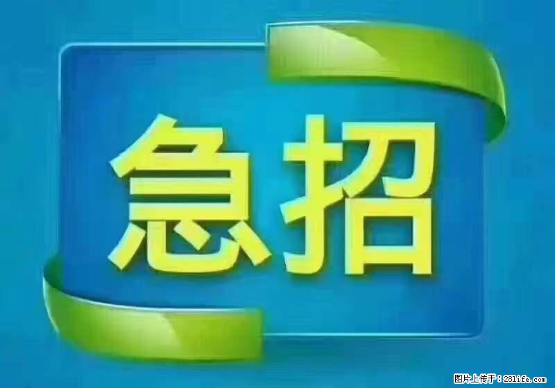招出纳8000元/月，无证可以，要有相关经验，上海五险一金，包住，包工作餐，做六休一。 - 职场交流 - 神农架生活社区 - 神农架28生活网 snj.28life.net