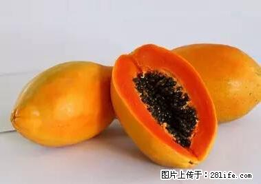 晕车、脚气、牙齿变黄、皮肤粗糙？学会这些三分钟搞定！ - 神农架生活资讯 - 神农架28生活网 snj.28life.net