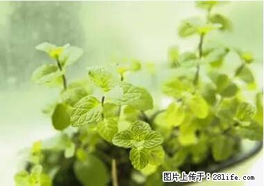 晕车、脚气、牙齿变黄、皮肤粗糙？学会这些三分钟搞定！ - 神农架生活资讯 - 神农架28生活网 snj.28life.net