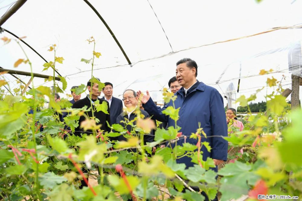 习近平赴广西考察调研 - 神农架生活资讯 - 神农架28生活网 snj.28life.net