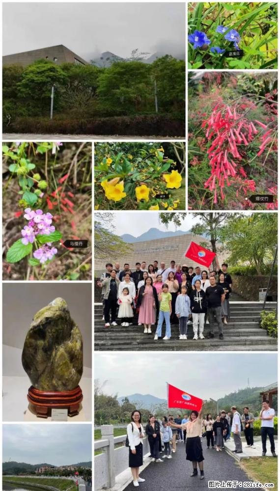 “粤灌文化 美好生活”油茶文化主题活动在广东深圳成功举办 - 神农架生活资讯 - 神农架28生活网 snj.28life.net