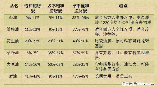 揭秘茶油的5大核心营养成分！被称为人体健康的“守护盾”！ - 神农架生活资讯 - 神农架28生活网 snj.28life.net