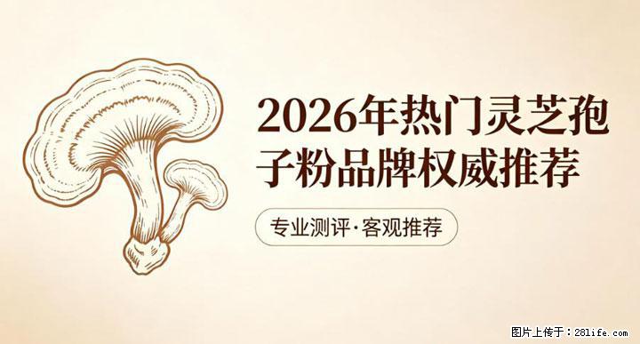 灵芝孢子粉含量越高越有效？2026 年七款热门品牌深度实测，肠胃敏感者避坑指南 - 神农架生活资讯 - 神农架28生活网 snj.28life.net